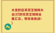 大圣野区采灵芝视频大全(打野挖灵芝视频全集汇总，等你来挑战！)