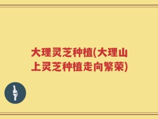 大理灵芝种植(大理山上灵芝种植走向繁荣)