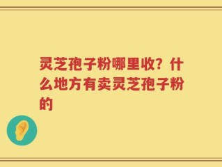 灵芝孢子粉哪里收？什么地方有卖灵芝孢子粉的