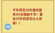 千年灵芝35斤重价值多少(价值超千万！重达35斤的灵芝让人惊艳！)