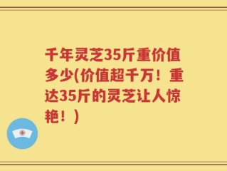 千年灵芝35斤重价值多少(价值超千万！重达35斤的灵芝让人惊艳！)