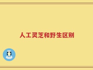 人工灵芝和野生区别