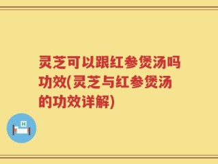 灵芝可以跟红参煲汤吗功效(灵芝与红参煲汤的功效详解)
