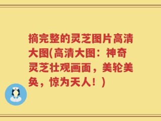 摘完整的灵芝图片高清大图(高清大图：神奇灵芝壮观画面，美轮美奂，惊为天人！)