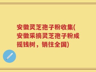 安徽灵芝孢子粉收集(安徽采摘灵芝孢子粉成摇钱树，销往全国)