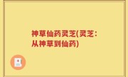 神草仙药灵芝(灵芝：从神草到仙药)