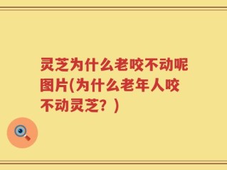 灵芝为什么老咬不动呢图片(为什么老年人咬不动灵芝？)