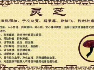 灵芝孢子粉长期吃危险 如何减轻灵芝孢子粉的副作用？