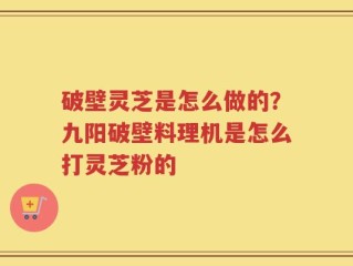 破壁灵芝是怎么做的？九阳破壁料理机是怎么打灵芝粉的