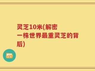 灵芝10米(解密  一株世界最重灵芝的背后)