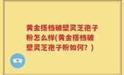 黄金搭档破壁灵芝孢子粉怎么样(黄金搭档破壁灵芝孢子粉如何？)