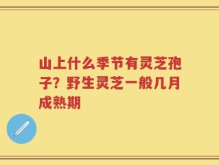 山上什么季节有灵芝孢子？野生灵芝一般几月成熟期