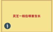 灵芝一般在哪里生长