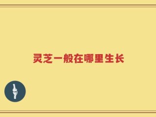 灵芝一般在哪里生长