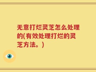 无意打烂灵芝怎么处理的(有效处理打烂的灵芝方法。)