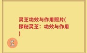 灵芝功效与作用照片(探秘灵芝：功效与作用)