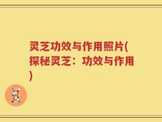 灵芝功效与作用照片(探秘灵芝：功效与作用)