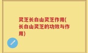 灵芝长白山灵芝作用(长白山灵芝的功效与作用)