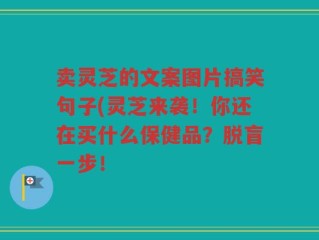卖灵芝的文案图片搞笑句子(灵芝来袭！你还在买什么保健品？脱盲一步！
