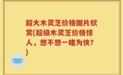 超大木灵芝价格图片欣赏(超级木灵芝价格惊人，想不想一睹为快？)