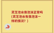 灵芝泡水像泡沫正常吗(灵芝泡水有像泡沫一样的情况？)