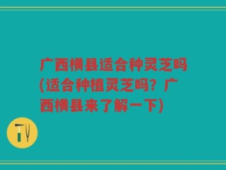 广西横县适合种灵芝吗(适合种植灵芝吗？广西横县来了解一下)