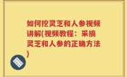 如何挖灵芝和人参视频讲解(视频教程：采摘灵芝和人参的正确方法)