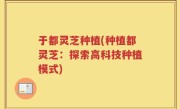 于都灵芝种植(种植都灵芝：探索高科技种植模式)
