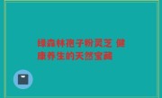 绿森林孢子粉灵芝 健康养生的天然宝藏