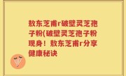 敖东芝甫r破壁灵芝孢子粉(破壁灵芝孢子粉现身！敖东芝甫r分享健康秘诀