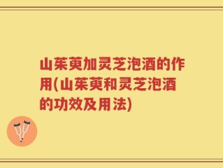 山茱萸加灵芝泡酒的作用(山茱萸和灵芝泡酒的功效及用法)