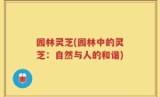 园林灵芝(园林中的灵芝：自然与人的和谐)