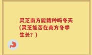 灵芝南方能栽种吗冬天(灵芝能否在南方冬季生长？)