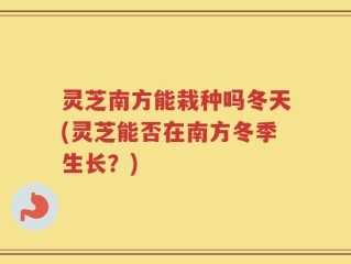 灵芝南方能栽种吗冬天(灵芝能否在南方冬季生长？)