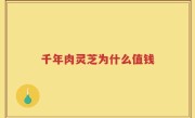 千年肉灵芝为什么值钱