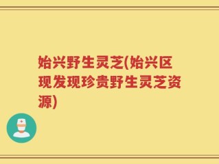 始兴野生灵芝(始兴区现发现珍贵野生灵芝资源)
