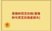 香椿树灵芝价格(香椿树与灵芝价格差距大)