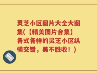 灵芝小区图片大全大图集(【精美图片合集】各式各样的灵芝小区纵横交错，美不胜收！)
