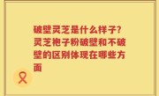 破壁灵芝是什么样子？灵芝袍子粉破壁和不破壁的区别体现在哪些方面