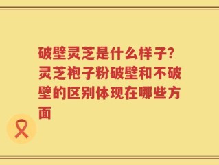 破壁灵芝是什么样子？灵芝袍子粉破壁和不破壁的区别体现在哪些方面