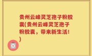 贵州云峰灵芝孢子粉胶囊(贵州云峰灵芝孢子粉胶囊，带来新生活！)