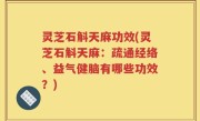 灵芝石斛天麻功效(灵芝石斛天麻：疏通经络、益气健脑有哪些功效？)