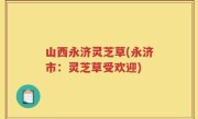 山西永济灵芝草(永济市：灵芝草受欢迎)