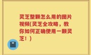灵芝整颗怎么用的图片视频(灵芝全攻略，教你如何正确使用一颗灵芝！)