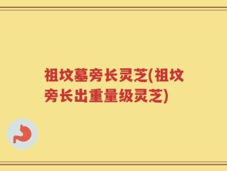 祖坟墓旁长灵芝(祖坟旁长出重量级灵芝)