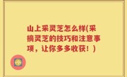 山上采灵芝怎么样(采摘灵芝的技巧和注意事项，让你多多收获！)