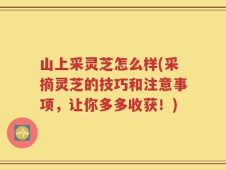 山上采灵芝怎么样(采摘灵芝的技巧和注意事项，让你多多收获！)