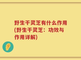 野生干灵芝有什么作用(野生干灵芝：功效与作用详解)