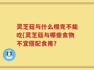 灵芝菇与什么相克不能吃(灵芝菇与哪些食物不宜搭配食用？