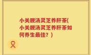 小关靓汤灵芝养肝茶(小关靓汤灵芝养肝茶如何养生最佳？)